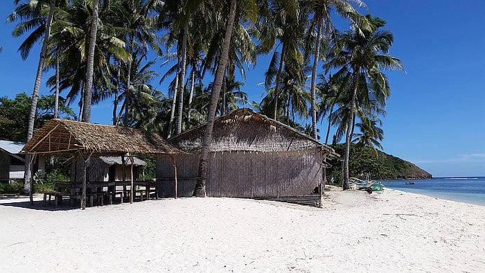 A tropical beach scene with white sand, palm trees, and two thatched huts. The blue sky and calm ocean are visible in the background, along with a small, forested hill—perfect for island hopping near Araw Beach.