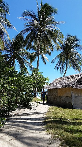 A person strolls along a sandy path flanked by lush green trees and towering palms under a clear blue sky, with a small thatched-roof hut on the right—an idyllic scene reminiscent of Araw Beach, perfect for those who dream of island hopping.