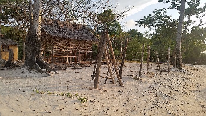 A rustic, thatched-roof hut stands amidst trees on Araw Beach, its sandy shore inviting exploration. A wooden fence made of logs and rope lines the area. The setting sun casts a warm glow over the scene, offering a tranquil backdrop for island hopping or leisurely boat tours.