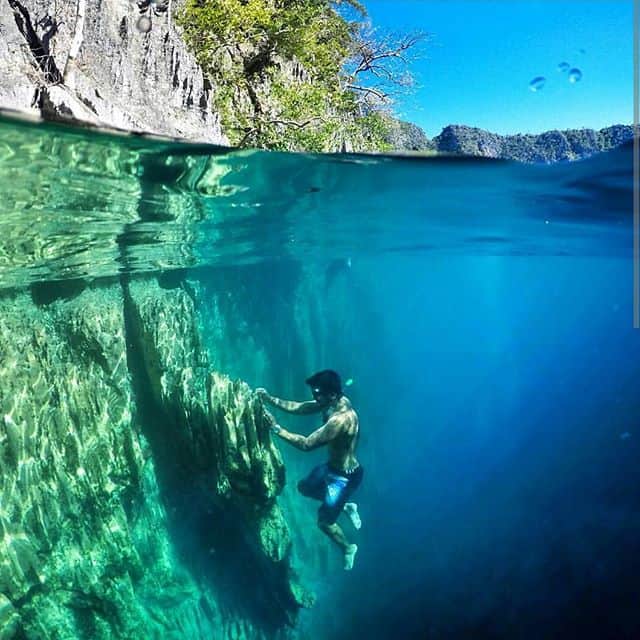 A person wearing snorkeling gear explores underwater near a rocky cliff in the clear blue waters of Kayangan Lake, Coron. Above the surface, Palawan’s steep rock face and lush green foliage are visible under a sunny sky.