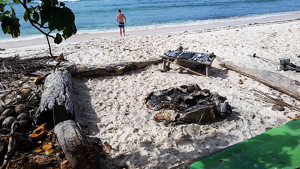 A sandy beach with a makeshift campfire area surrounded by logs, a wooden bench, and scattered coconuts. The ocean waves gently roll in the background, and a person in swimwear stands near the water's edge.