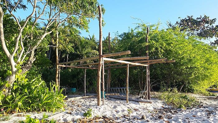 A wooden frame structure under construction on a sandy beach, surrounded by lush green trees and vegetation. The sky is clear and blue, indicating a sunny day. A ladder leans against one side of the structure.
