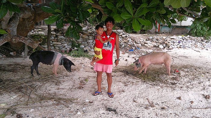 A person wearing a red shirt and pink shorts stands on a sandy area under a tree, holding a child in yellow while contemplating island hopping. Nearby, two pigs forage beside the iconic stone wall with lush vegetation in the background, painting an inviting picture for boat tour enthusiasts.