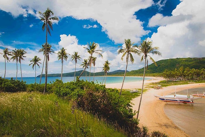 Tropical beach scene with palm trees, a sandy shore, and clear blue water. Boats anchored near the coastline hint at an inviting boat trip under the partly cloudy sky.