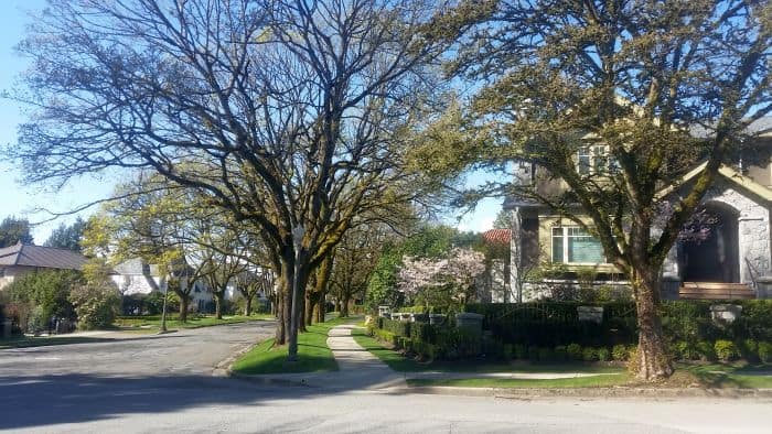 A serene suburban street, perfect for a leisurely road trip, is lined with trees under a clear blue sky. The sun casts gentle shadows, highlighting the green lawns and well-maintained sidewalks. A charming house with a front garden is visible on the right.