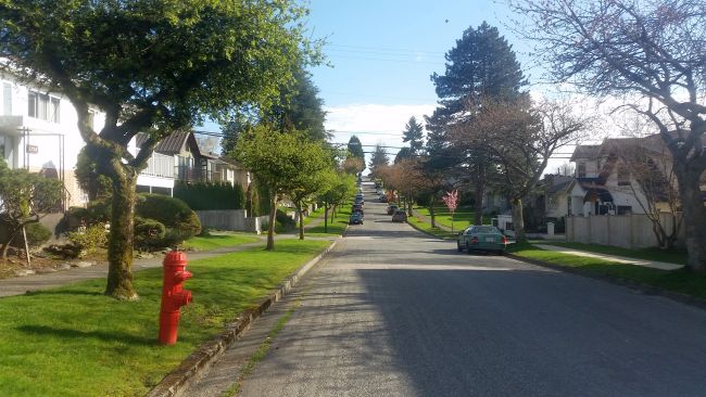 A quiet suburban street with green lawns and houses on both sides awaits exploration on your road trip. A red fire hydrant adorns the left, while several trees line the street with a few cars parked along the way. The street extends uphill under a partly cloudy sky, inviting you to tour its serene ambiance.