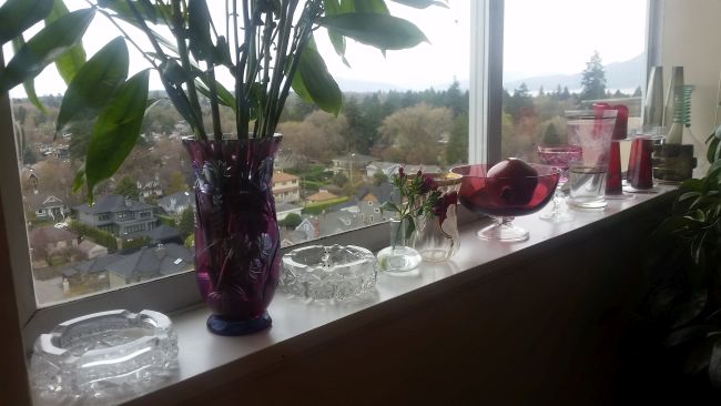 Glass vases and bowls with decorative items are arranged on a windowsill, offering a picturesque view reminiscent of scenes from a road trip through the suburban landscape, with trees and houses. Green plant leaves extend from one of the vases.