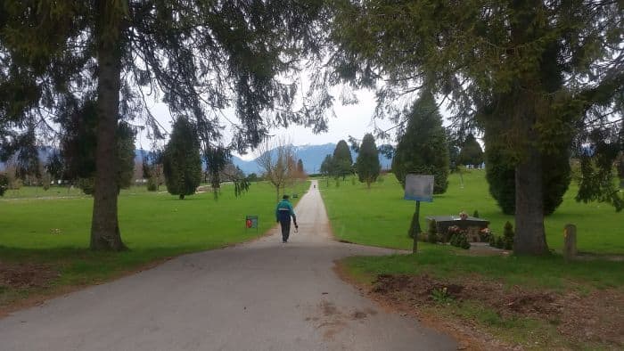 A person strolls along a path in a park-like area with green grass and scattered trees, reminiscent of a tranquil tour stop. Mountains are visible in the background under a cloudy sky, while the path is lined with tall trees on either side.