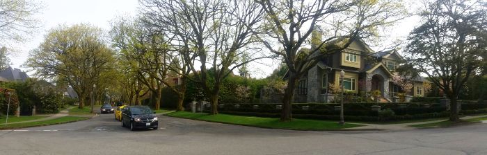 Panoramic view of a suburban street with a large, elegant house on the corner surrounded by greenery. Leafy trees line the road, inviting thoughts of a serene tour through this peaceful neighborhood as a few cars pass by or park along the road.