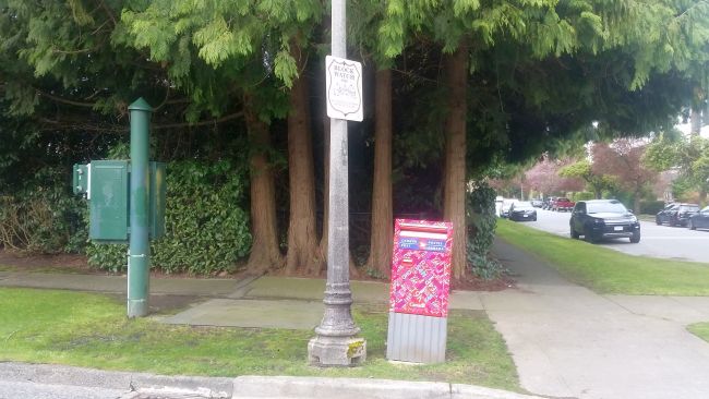 A street scene features a public mailbox wrapped in vibrant designs, a tall utility pole with a parking sign, and a sidewalk flanked by lush green trees—a picturesque stop on any road trip. Cars are parked along the quiet street in the background.
