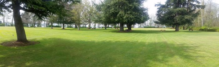A serene park scene unfolds with a wide expanse of green grass, large trees scattered throughout, and benches in the distance. Soft sunlight creates contrasting shadows on the ground, adding depth to this peaceful landscape—a perfect spot to pause during your road trip.