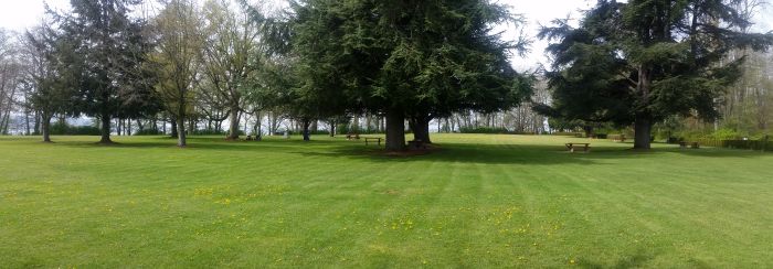 On a scenic road trip, discover a wide, grassy park with scattered trees and benches beneath them. The lush green grass glows as dappled sunlight filters through, revealing glimpses of the clear sky through the branches.