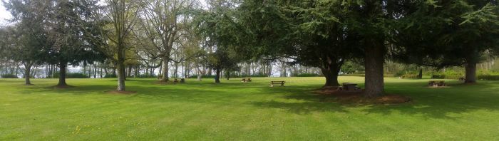 A serene park scene with lush green grass, scattered trees, and picnic tables sets the perfect stop on a road trip. Sunlight filters through the leaves, casting soft shadows on the ground. The horizon is lined with a clear sky and distant trees, inviting travelers to pause and enjoy the view.