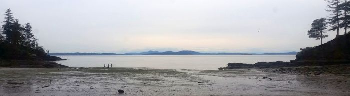 A serene coastal scene unfolds like a perfect stop on a road trip, with a wide, sandy shore at low tide. Three small figures stand by the water's edge, while distant mountains and a cloudy sky create a peaceful backdrop. Trees frame the scene on both sides, inviting exploration and tranquility.