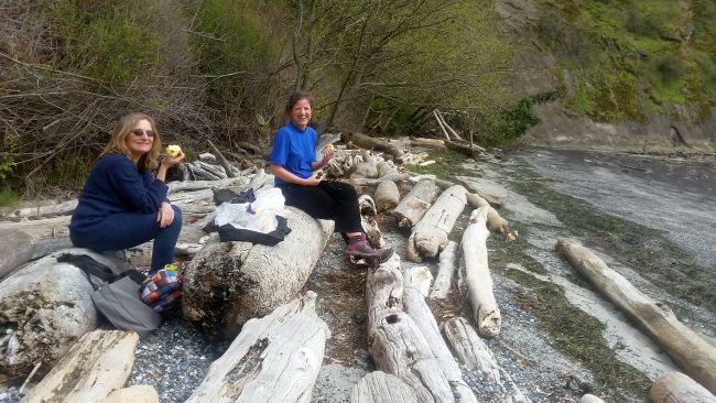 Two people sit on large driftwood logs at a rocky beach, enjoying snacks and smiling. The shoreline stretches to the right, with green hills in the background. It's a relaxed scene on their road trip, embracing nature's tranquility.