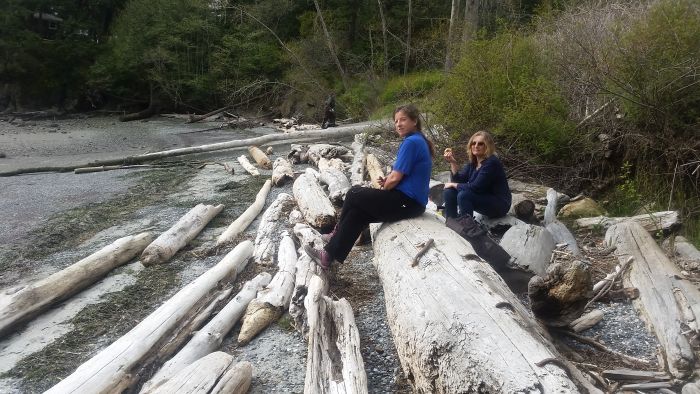 Two people, on a scenic road trip, sit on large driftwood logs by a rocky beach with dense trees in the background. One person is in a blue shirt, and another wears sunglasses. The setting is tranquil and natural, perfect for an impromptu tour of nature's beauty.