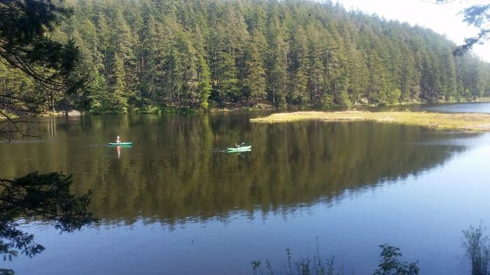 Two people kayaking on a calm lake, an ideal stop on a scenic road trip through dense evergreen forests. The clear water reflects the trees and sky, creating a serene and peaceful scene, perfect for a memorable tour of nature’s beauty.