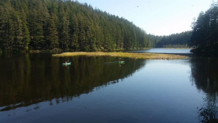 Two people in kayaks paddle across a serene lake on their tour, surrounded by dense evergreen forests under a clear blue sky. The water reflects the trees, creating a peaceful and picturesque scene, perfect for capturing memories from an unforgettable road trip.