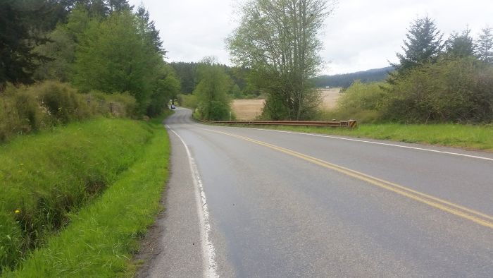 A winding rural road lined with green grass and tall trees under a cloudy sky invites you on a scenic road trip. The road stretches into the distance, bordered by a low wooden guardrail on the right.