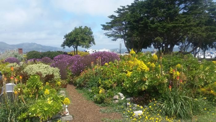 The garden scene unfolds like a serene stop on a road trip, with vibrant yellow and purple blossoms lining a winding gravel path. Tall trees and distant mountains stand proudly under a partly cloudy sky, offering nature's own tour through color and tranquility.
