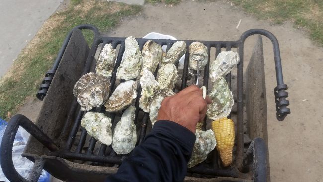 A person on a road trip is enjoying grilling oysters and corn on a metal grate barbecue. Set up outdoors in a grassy area, they expertly handle the food with tongs, savoring the leisurely moments of their tour.