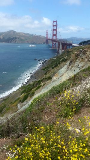A view of the Golden Gate Bridge stretching across the bay, with rolling hills and yellow wildflowers in the foreground under a partly cloudy blue sky—a perfect stop on any road trip.
