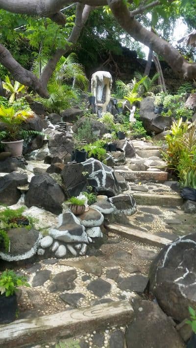 A lush garden with a stone pathway winds through large rocks and tropical plants, reminiscent of an island-hopping escape. A stone bench and various potted plants are scattered along the path, while a large tree spreads its branches above, providing shade like a private retreat in Cuyo.