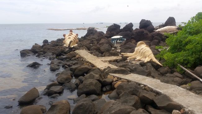 On the rocky shoreline of Cuyo, large dinosaur skull sculptures stand majestically near the water. A concrete path winds through the rocks, perfect for a stroll before island hopping. The ocean stretches out in the background under a cloudy sky.