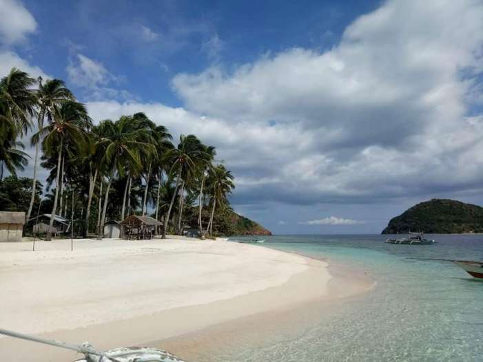 A serene tropical beach in El Nido with white sand and clear turquoise water. Tall palm trees line the shore, and a small island is visible in the distance under a partly cloudy sky. A couple of boats float on the water, offering idyllic views complemented by nearby accommodation options.