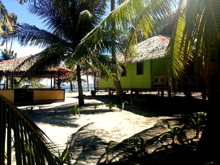 A tropical beach scene with palm trees and huts in Palawan. Sandy ground is surrounded by green foliage, offering a view of the shimmering ocean where boat tours often venture out under the clear sky, with patches of sunlight filtering through the leaves.