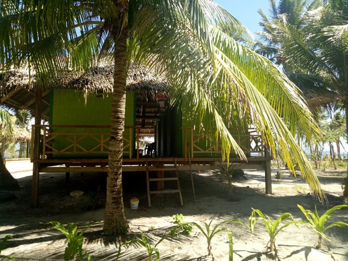 A tropical beach hut with a thatched roof is nestled among lush palm trees in El Nido. The wooden structure is elevated on stilts, with a small staircase leading up to the entrance. Sandy ground and clear skies complete this serene setting, perfect for starting Palawan boat tours.