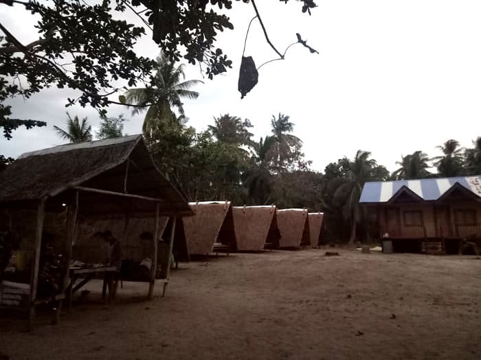 Nestled in a rural setting reminiscent of Coron, Palawan, the scene features several small thatched huts alongside a larger building with a blue and white roof. Palm trees and dense foliage form a backdrop against the sandy ground. The dim light suggests early morning or late afternoon.