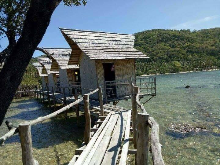 Wooden huts on stilts over clear, shallow water are connected by rustic wooden walkways. Nestled near a lush, green hillside under a clear blue sky in the serene beauty of El Nido, Palawan, a tree branch elegantly frames part of the image.