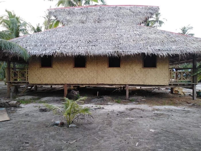 A traditional raised wooden house with a thatched roof and several small rectangular windows, nestled among palm trees on sandy ground, offers charming accommodation options in a rural setting. Perfectly situated for exploring El Nido or embarking on nearby boat tours.