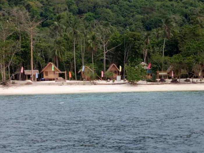 A tranquil beach scene in Palawan features several small wooden huts nestled among lush trees, offering serene accommodation options. Colorful flags adorn the huts, while palm trees dot the landscape. In the foreground, calm sea water gently laps against the sandy shore, inviting peaceful boat tours.