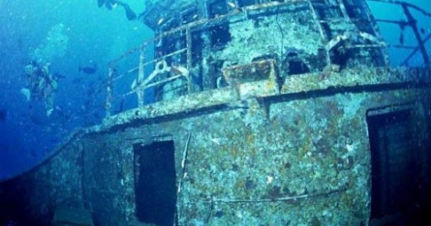 In the deep blue ocean off Coron, scuba divers explore a captivating shipwreck teeming with marine life and vibrant coral, surrounded by schools of fish.