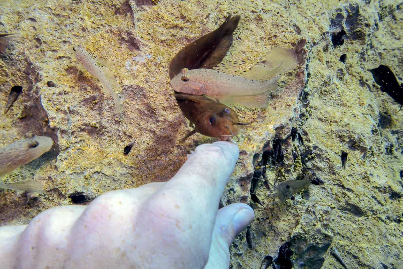 coron-barracuda-lake-scuba2
