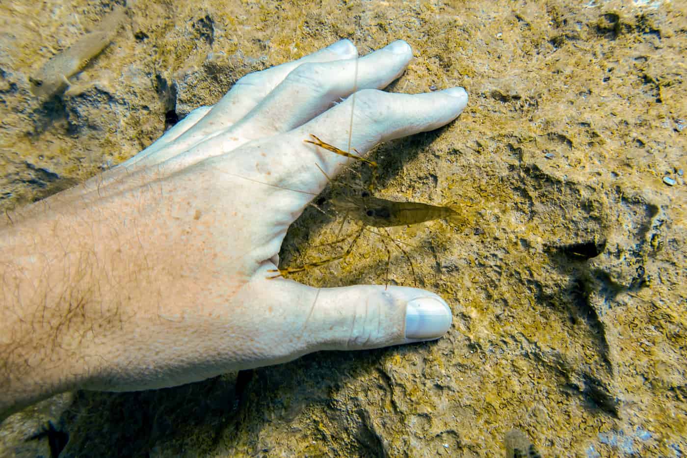 coron-wreck-diving-philipines3