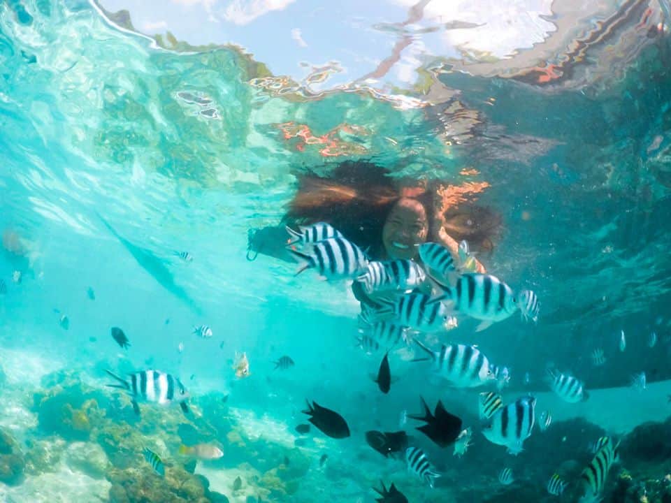 Amidst a vibrant underwater scene, a person swims gracefully, surrounded by zebra-striped and black fish in the clear turquoise water—an enchanting experience often found during island hopping adventures.