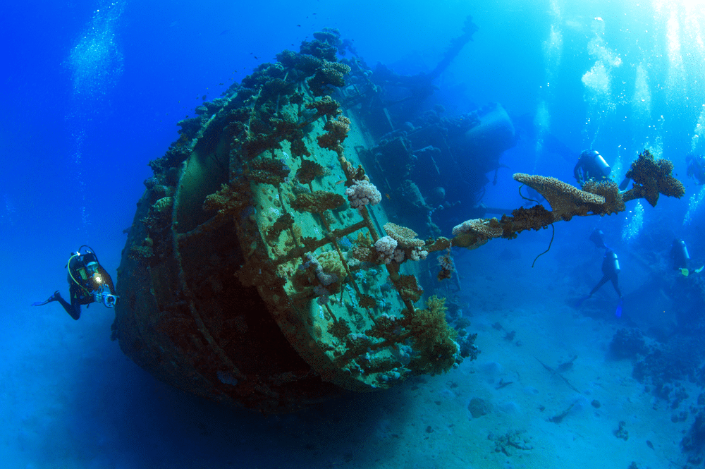 Divers on an El Nido excursion explore a large, coral-covered shipwreck on the ocean floor, surrounded by clear blue water. Divers on an El Nido excursion explore a large, coral-covered shipwreck on the ocean floor, surrounded by clear blue water.