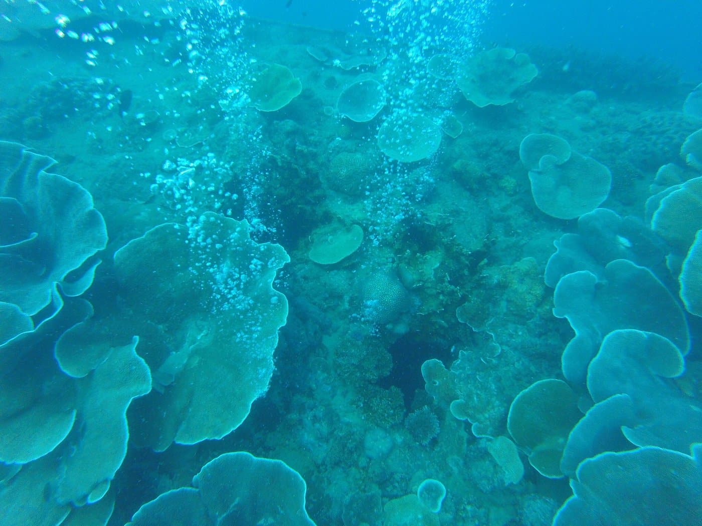 Atwayan Beach in Coron a bubbly murky ocean depth