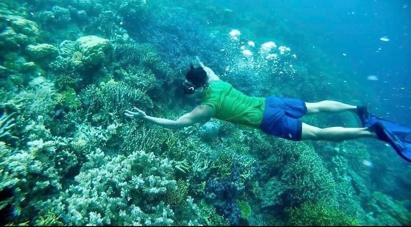 A person wearing a green shirt and blue shorts is experiencing the best snorkeling in Palawan, gliding over a vibrant coral reef in Coron, surrounded by diverse coral formations and marine life.