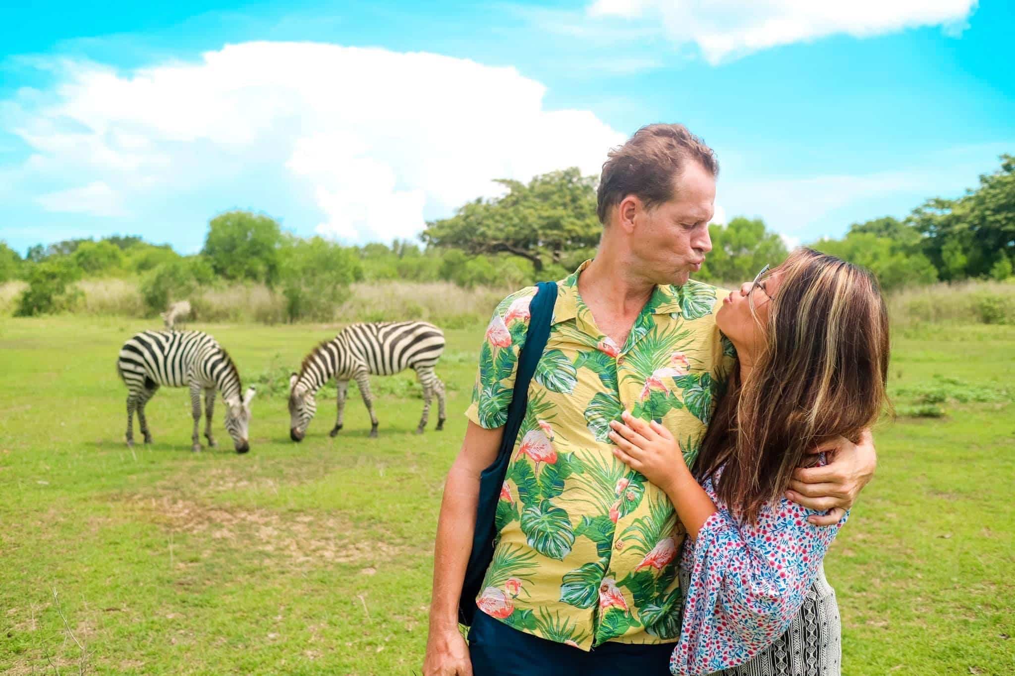 A couple stands affectionately in a grassy field, smiling at each other. The man wears a floral shirt and the woman wears a patterned dress, reminiscent of their Palawan boat tour. Two zebras graze in the background under a bright blue sky.