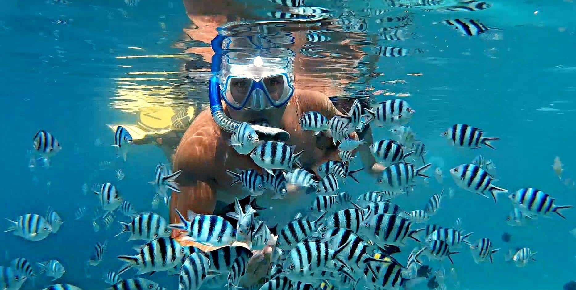 Snorkeling near Coron reveals clear blue waters teeming with striped fish, offering a mesmerizing view as you explore the nearby Skeleton Shipwreck. Perfect for those who enjoy island hopping and discovering marine wonders.