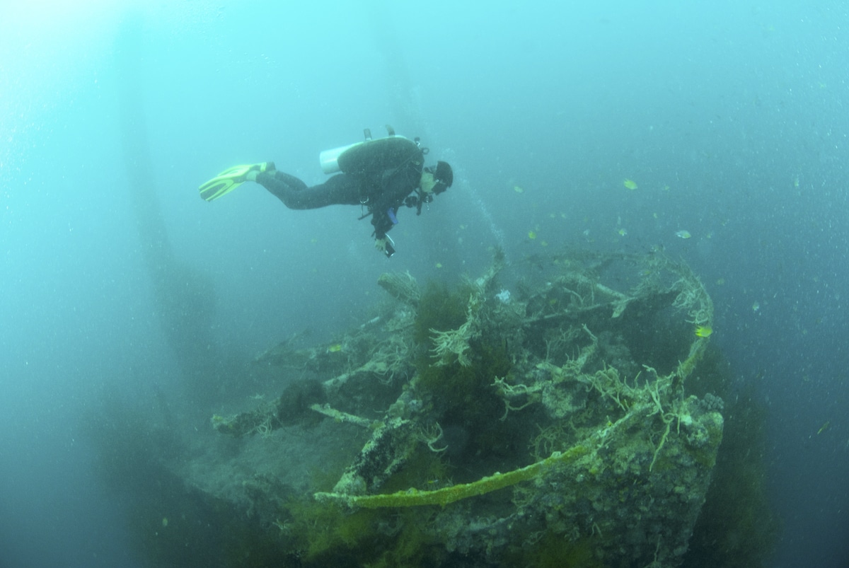 A scuba diver explores a sunken shipwreck underwater, remnants of a once-glorious boat tour. The wreck is covered in seaweed and marine growth, surrounded by a hazy, blue-green ocean. Equipped with scuba gear, the diver observes the eerie remains closely.