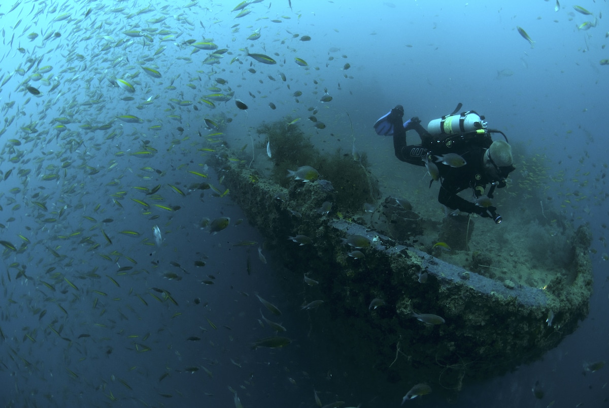 A diver explores a sunken shipwreck teeming with small fish in a deep blue ocean, as if on an underwater boat tour. The marine life surrounds the wreck, creating a vibrant scene. The diver wears scuba gear and is illuminated by natural light filtering from above.