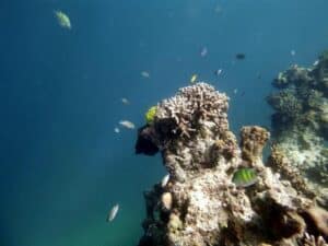 Payong payong beach El nido palawan tour private boat snorkeling