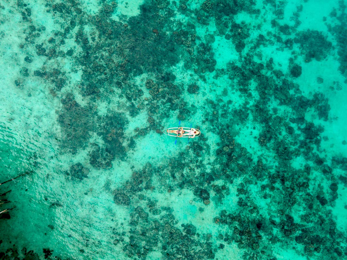 Sean Alisha proposal tour review DJI 0211