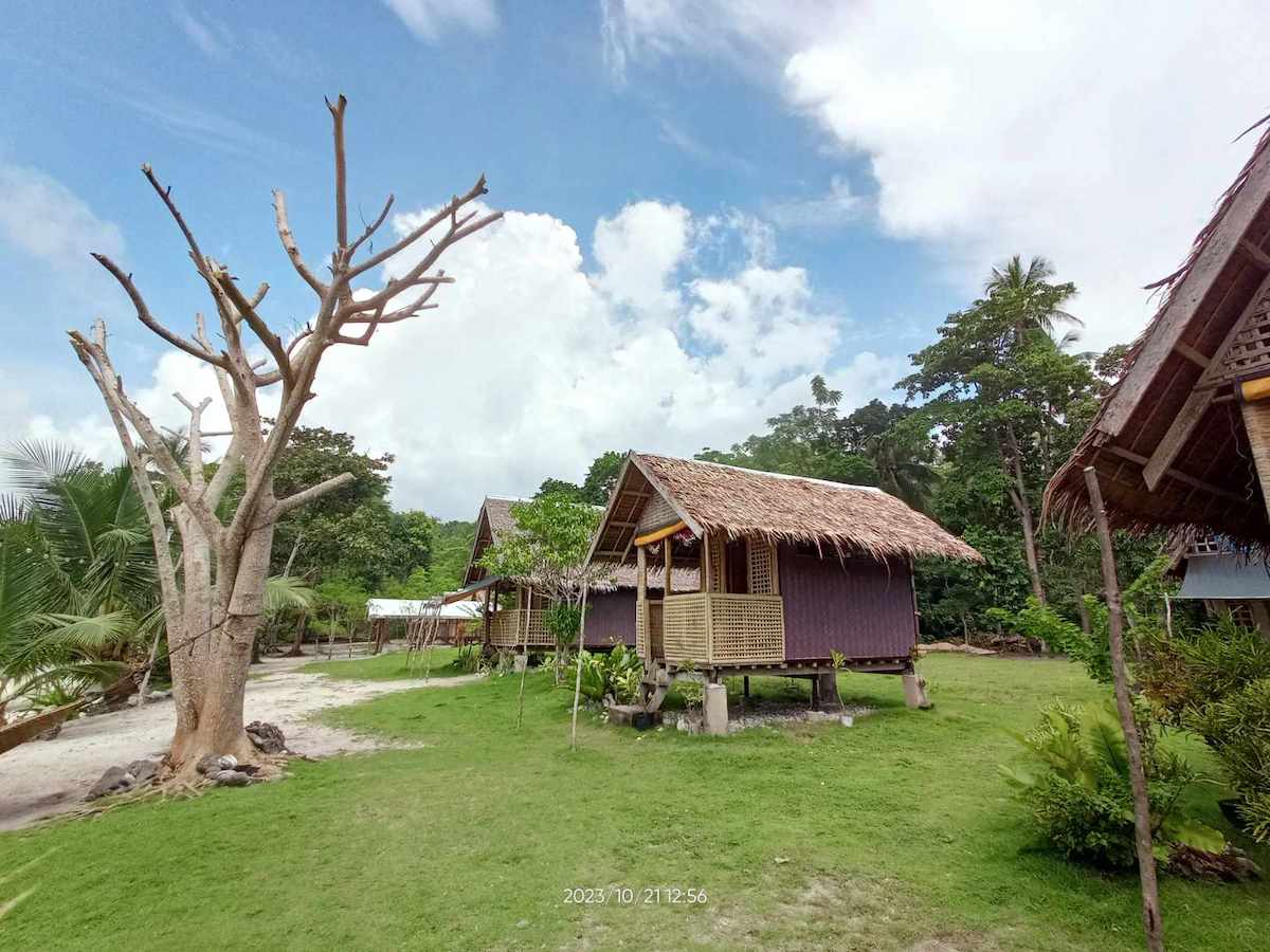 linapacan tourist camp dead tree right