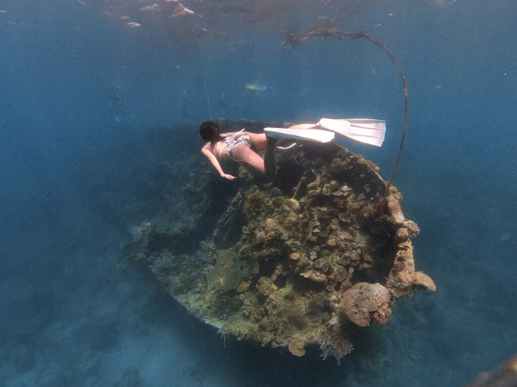 400765503 885918789552987 3503392254271591091 n